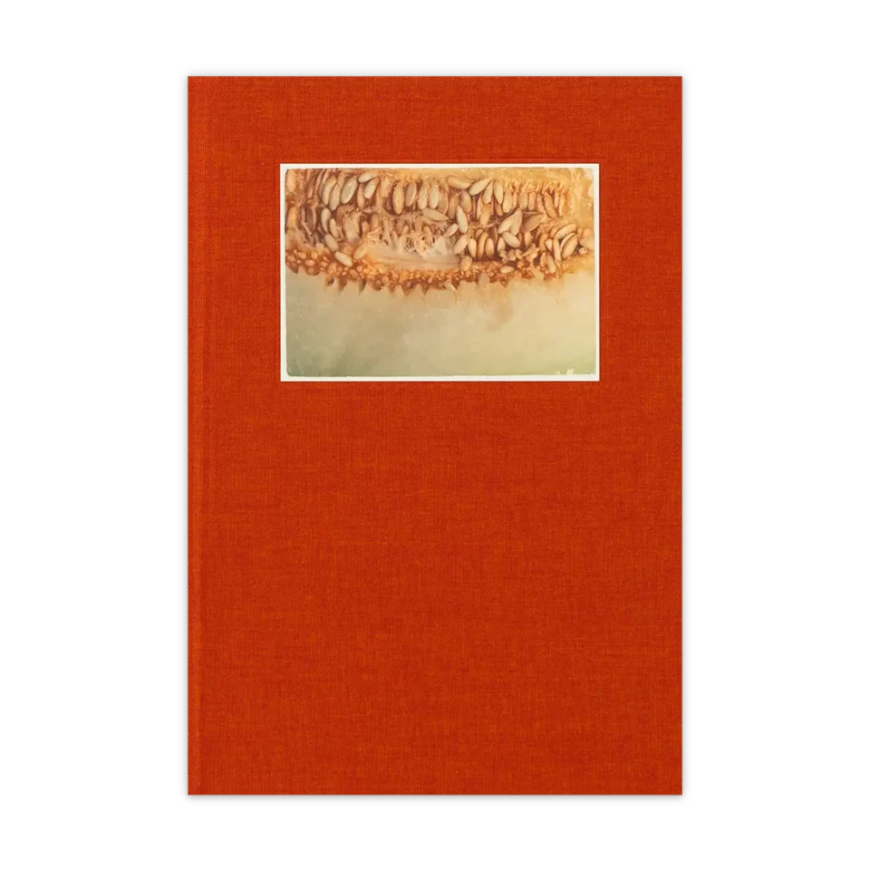 Radix — David Inclán