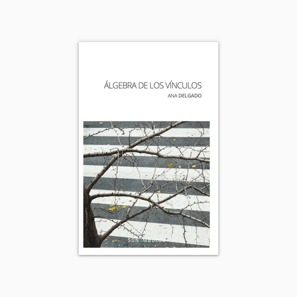 Portada del libro de poesía ¬ Álgebra de los vínculos de Ana Delgado